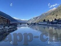 大象传媒网页-大象传媒网页，重塑数字时代的信息传播